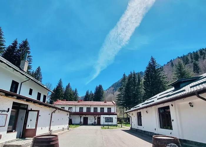 Pensiunea Rhein Azuga